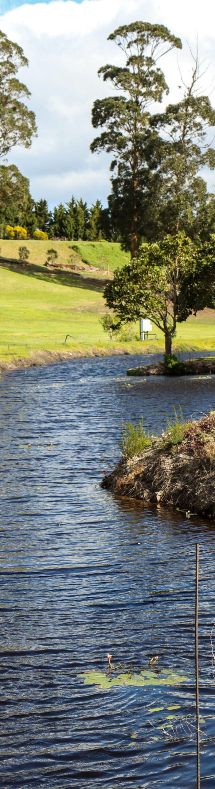 Hemel en Aarde cottages bottom dam