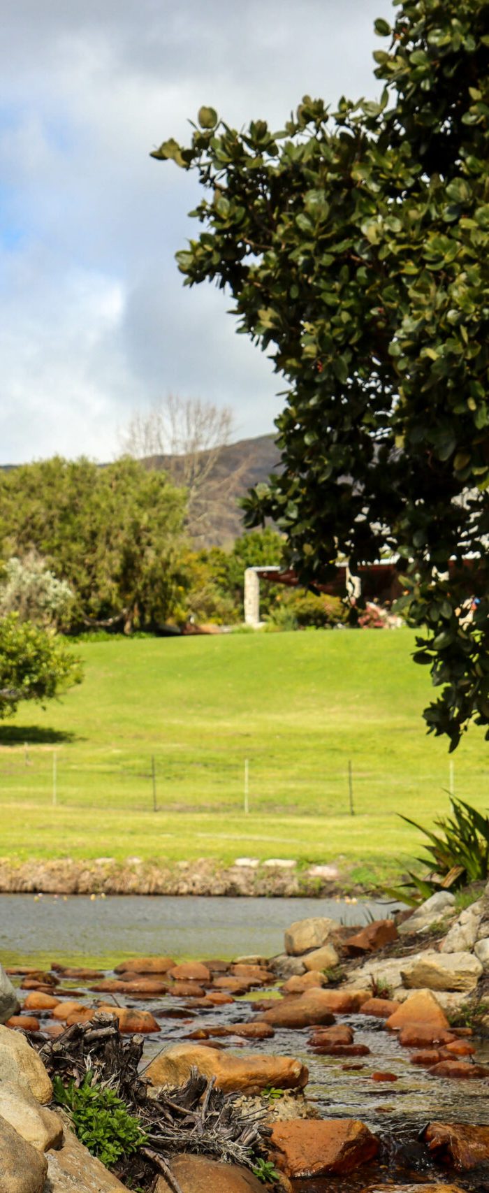 Hemel en Aarde cottages jungle gym